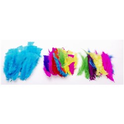 Feathers Jasart Large Assorted Colours