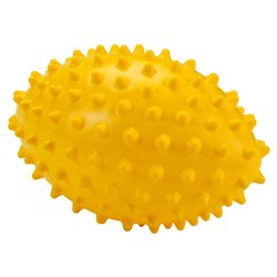 NYDA Echidna Football