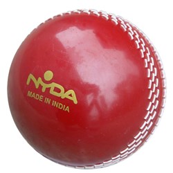 NYDA Plastic Trainer Cricket Ball 142g
