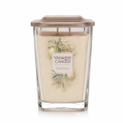 Yankee Elevation Citrus Grove Large Candle