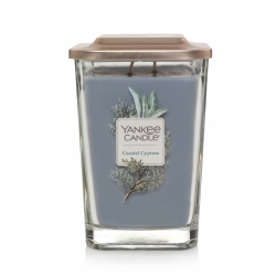 Yankee Elevation Coastal Cypress Large Candle
