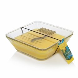 Yankee Ribbonwick Sicilian Lemon Medium Candle