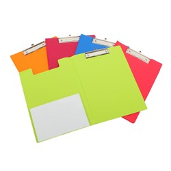 A4 Assorted Fruits Colours PVC Clipfolder