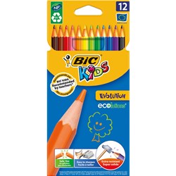 Bic Evolution 12 Assorted Coloured Pencils