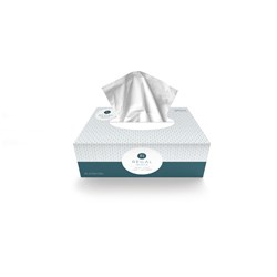 Regal 2 Ply Facial Tissues Box 200