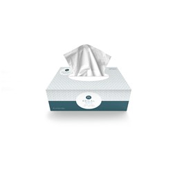 Regal 2 Ply Facial Tissues Box 200