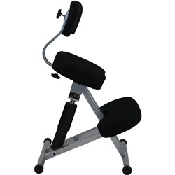 Chair Physioflex Iii Ergonomic Black