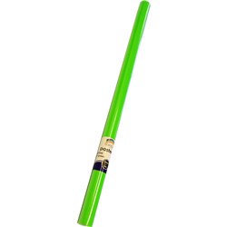 Rainbow 85gsm 760mmx10m Gloss Poster Roll - Light Green