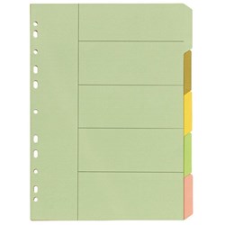 Bibbulmun A4 5 Tab Pastel Multi-Coloured Board Dividers